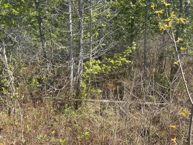 $119,900 | M7-l5 M7-l5 Lombard Road, Lakeville, ME 04487