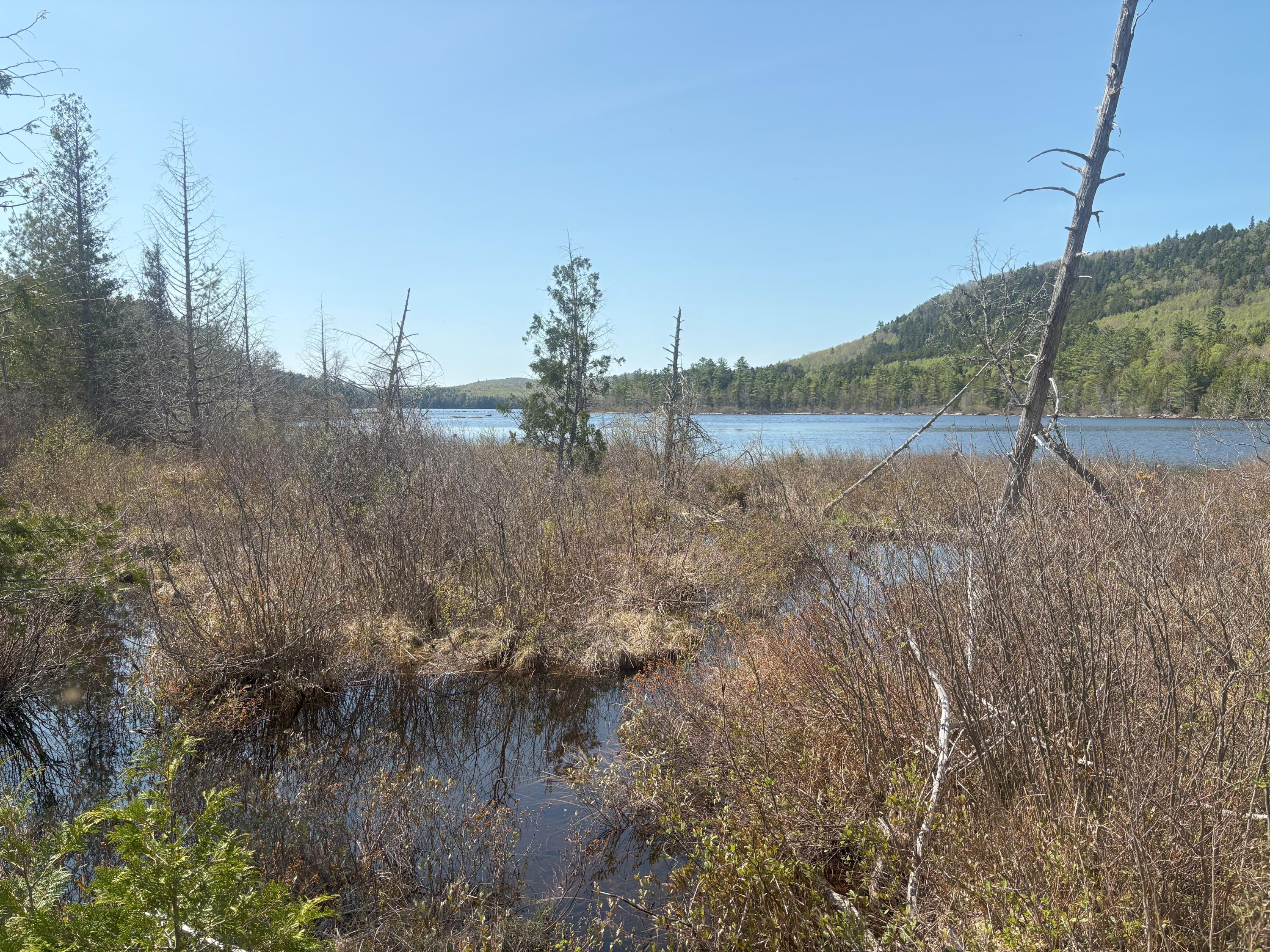 M7-l5 M7-l5 Lombard Road Lakeville, ME 04487 - Photo 15 of 26 IMG_4785