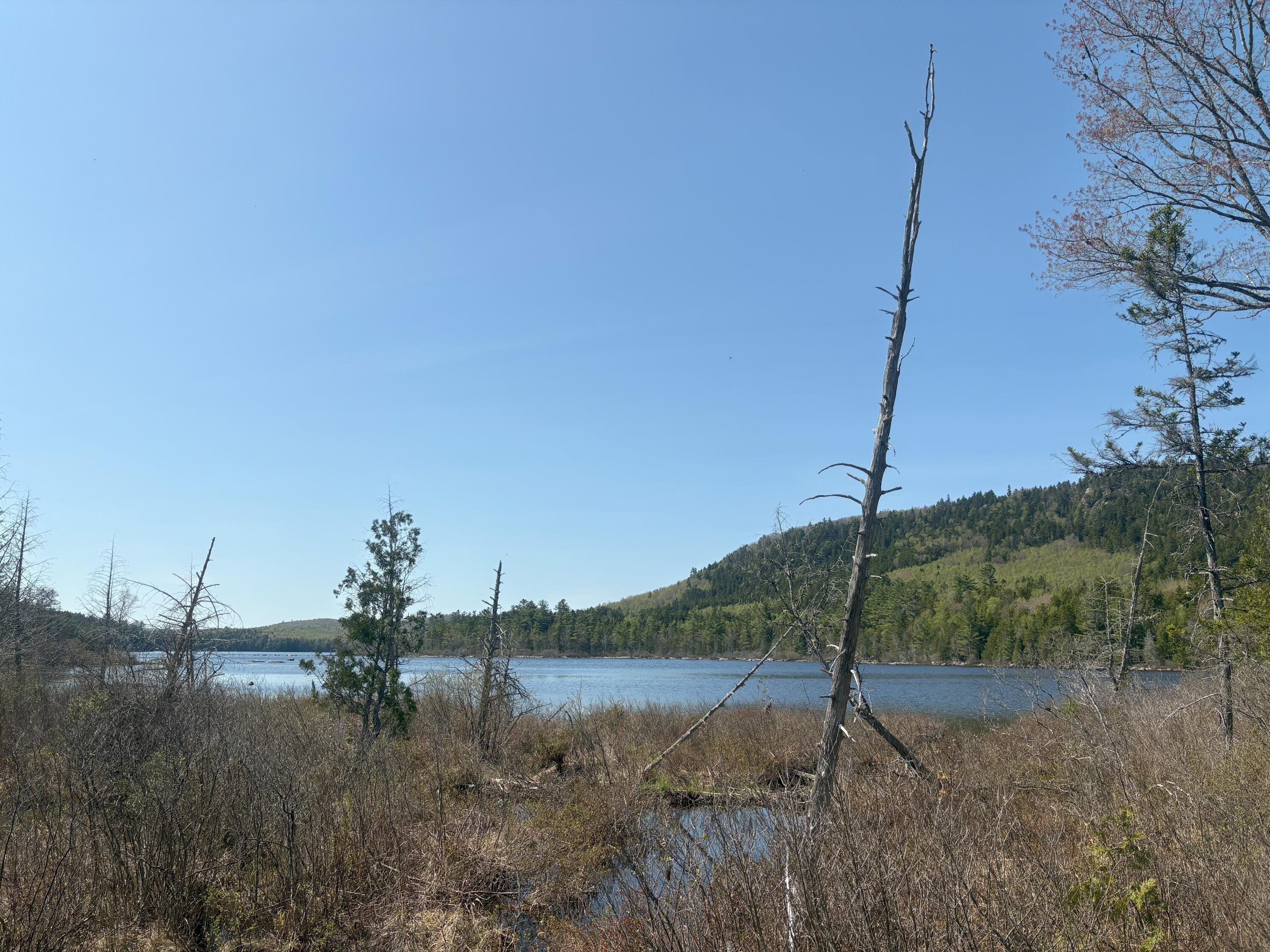 M7-l5 M7-l5 Lombard Road Lakeville, ME 04487 - Photo 16 of 26 IMG_4786