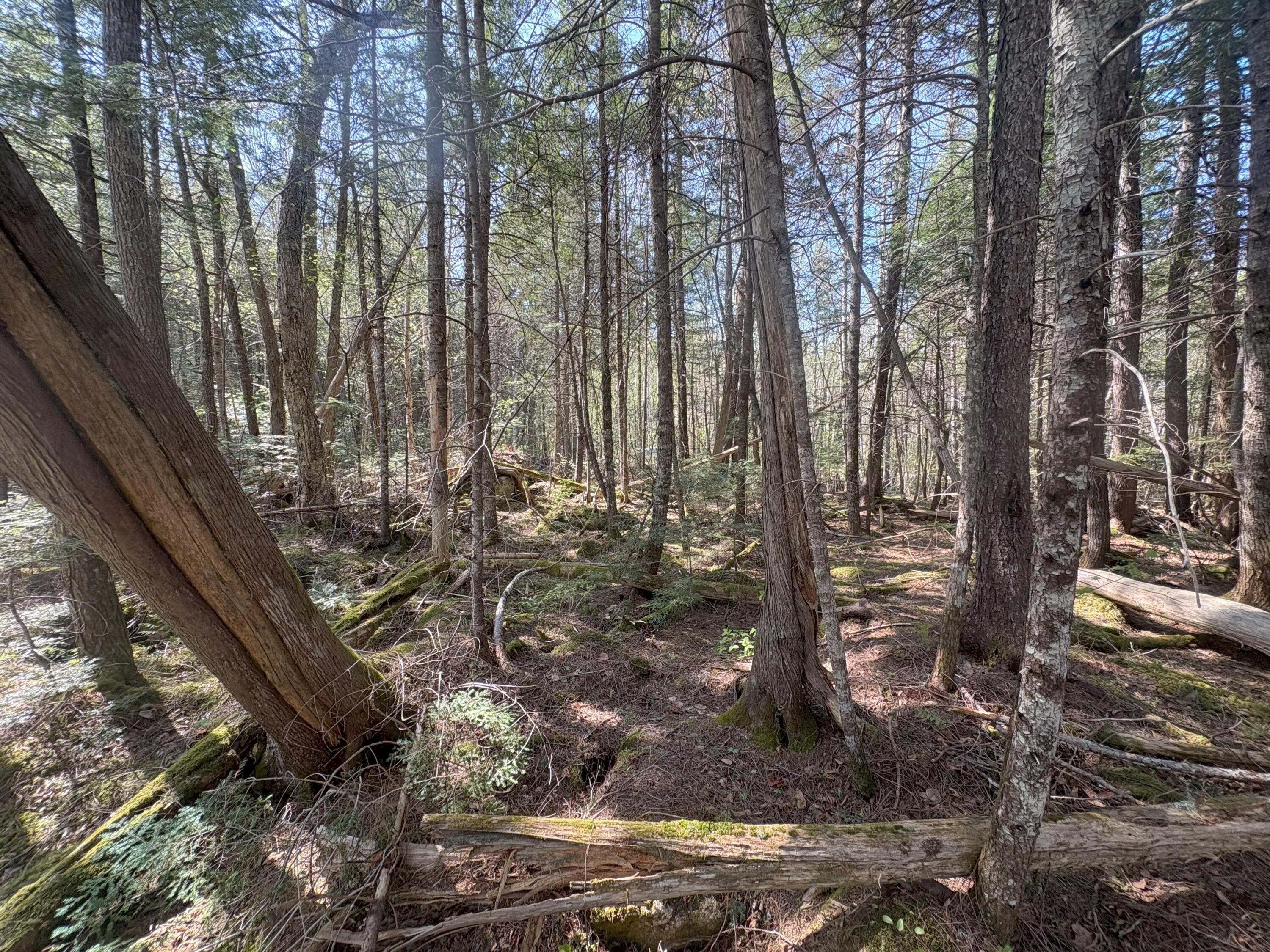 M7-l5 M7-l5 Lombard Road Lakeville, ME 04487 - Photo 17 of 26 IMG_4797