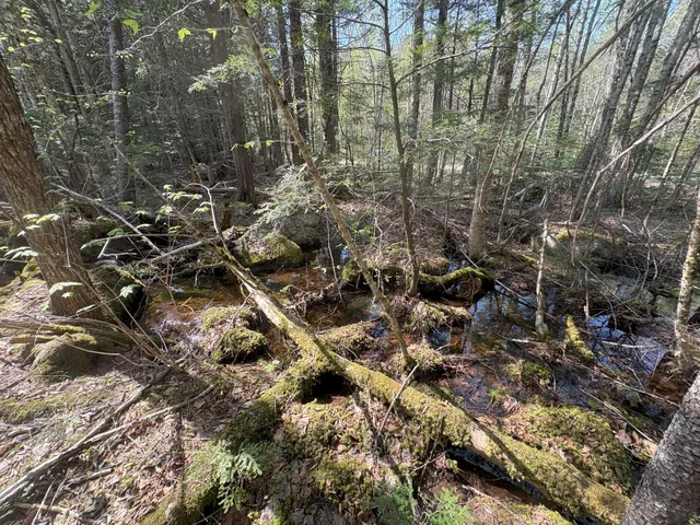 $119,900 | M7-l5 M7-l5 Lombard Road, Lakeville, ME 04487