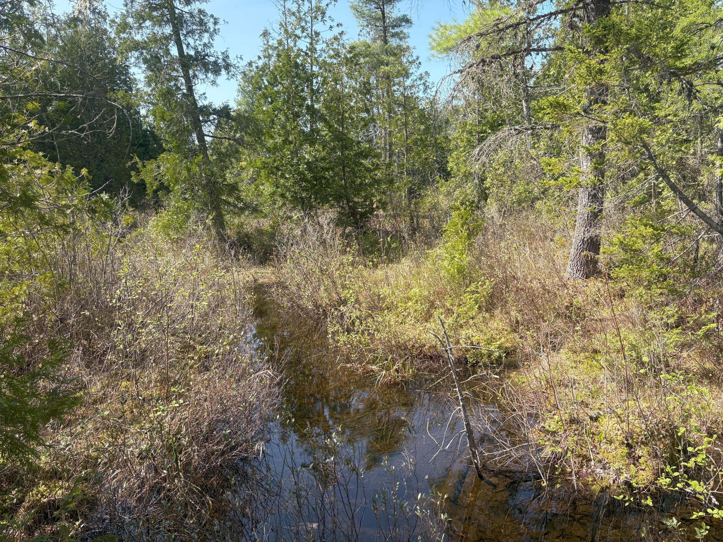 M7-l5 M7-l5 Lombard Road Lakeville, ME 04487 - Photo 19 of 26 IMG_4783