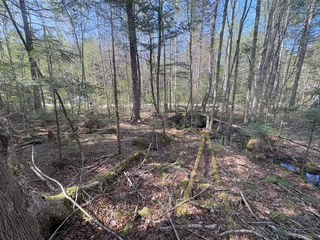 $119,900 | M7-l5 M7-l5 Lombard Road, Lakeville, ME 04487