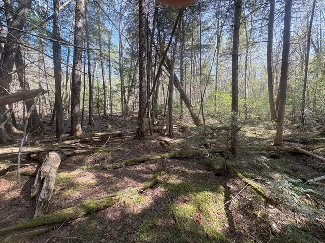 $119,900 | M7-l5 M7-l5 Lombard Road, Lakeville, ME 04487