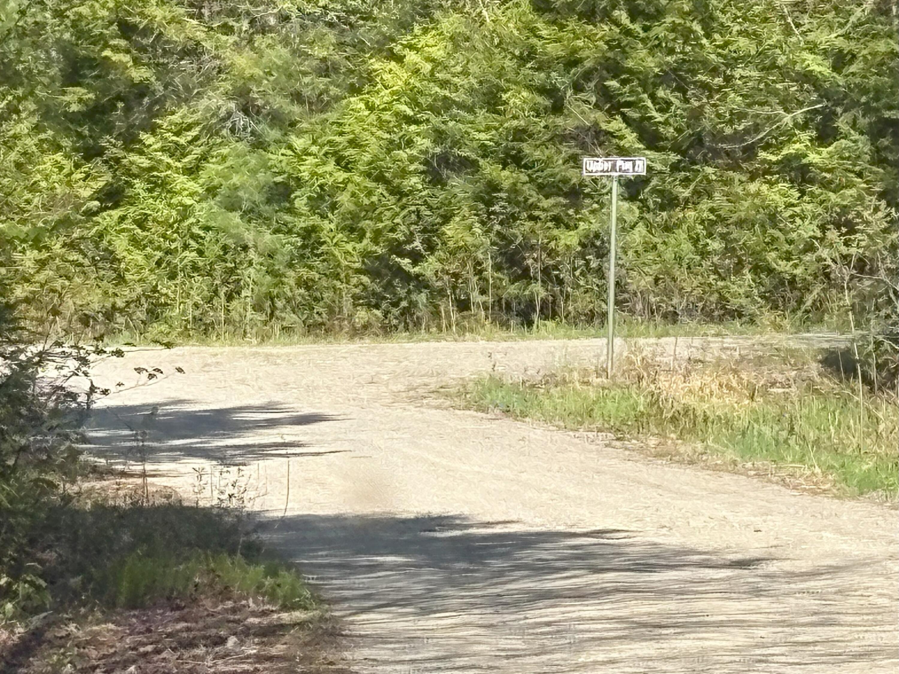 M7-l5 M7-l5 Lombard Road Lakeville, ME 04487 - Photo 22 of 26 IMG_4802