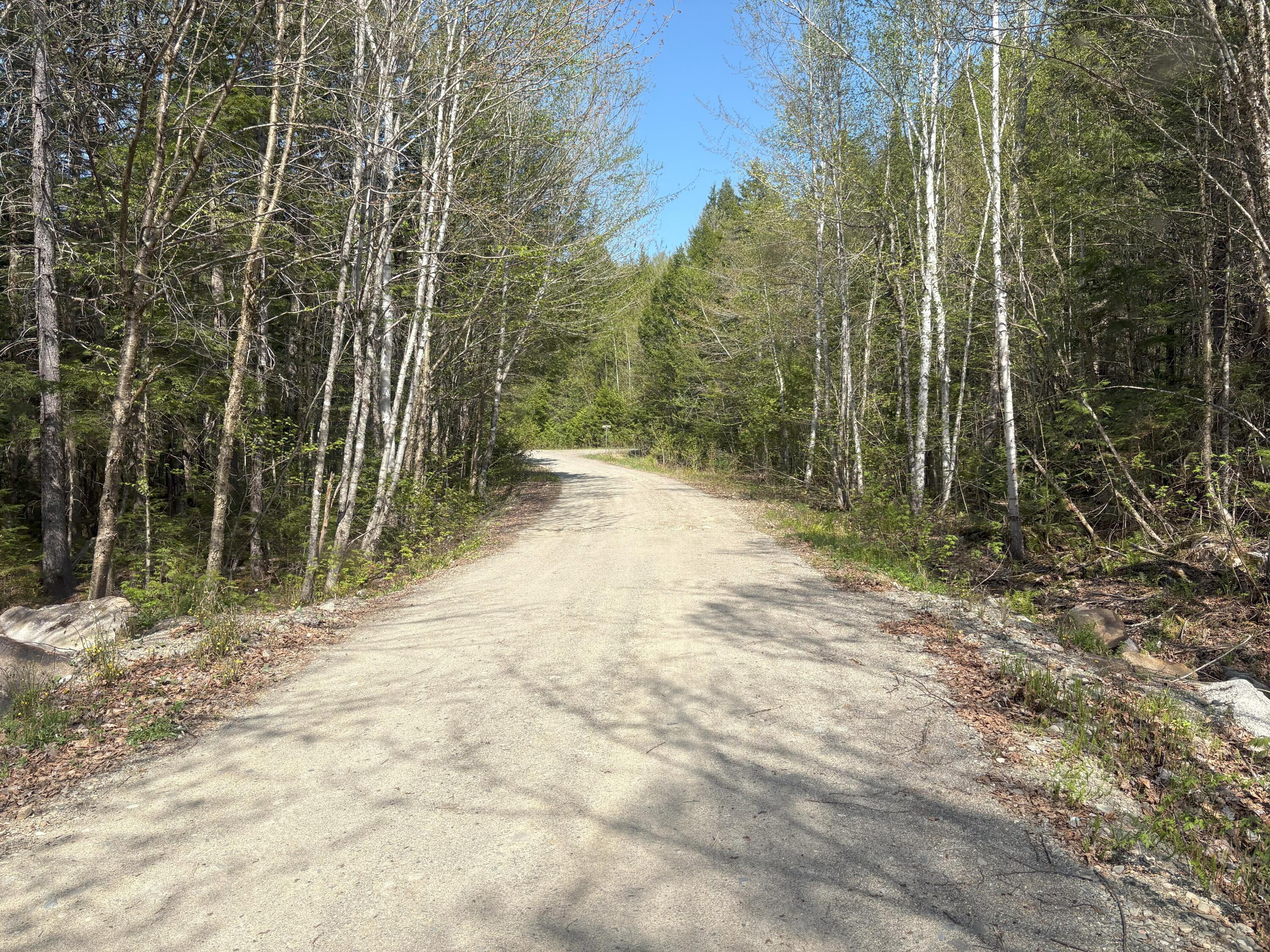 M7-l5 M7-l5 Lombard Road Lakeville, ME 04487 - Photo 3 of 26 IMG_4774