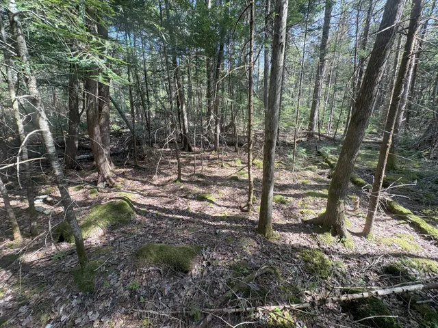 $119,900 | M7-l5 M7-l5 Lombard Road, Lakeville, ME 04487