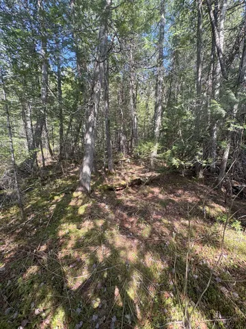 $119,900 | M7-l5 M7-l5 Lombard Road, Lakeville, ME 04487