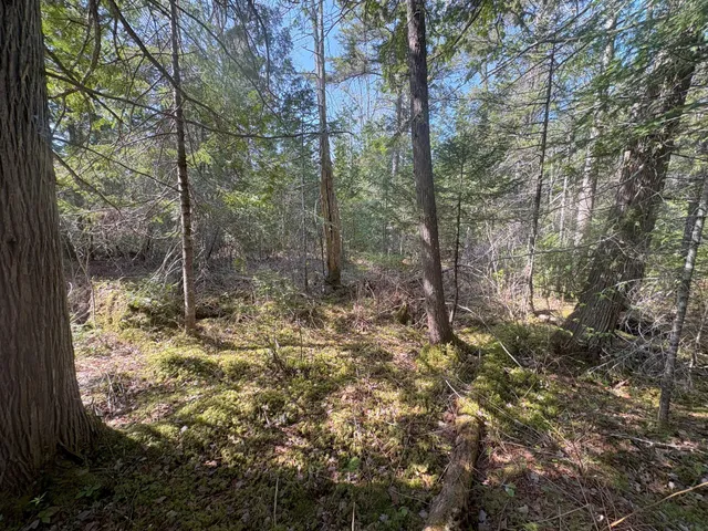 $119,900 | M7-l5 M7-l5 Lombard Road, Lakeville, ME 04487