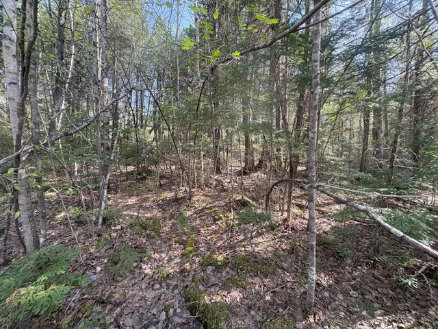 $119,900 | M7-l5 M7-l5 Lombard Road, Lakeville, ME 04487