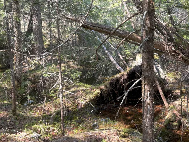 $119,900 | M7-l5 M7-l5 Lombard Road, Lakeville, ME 04487