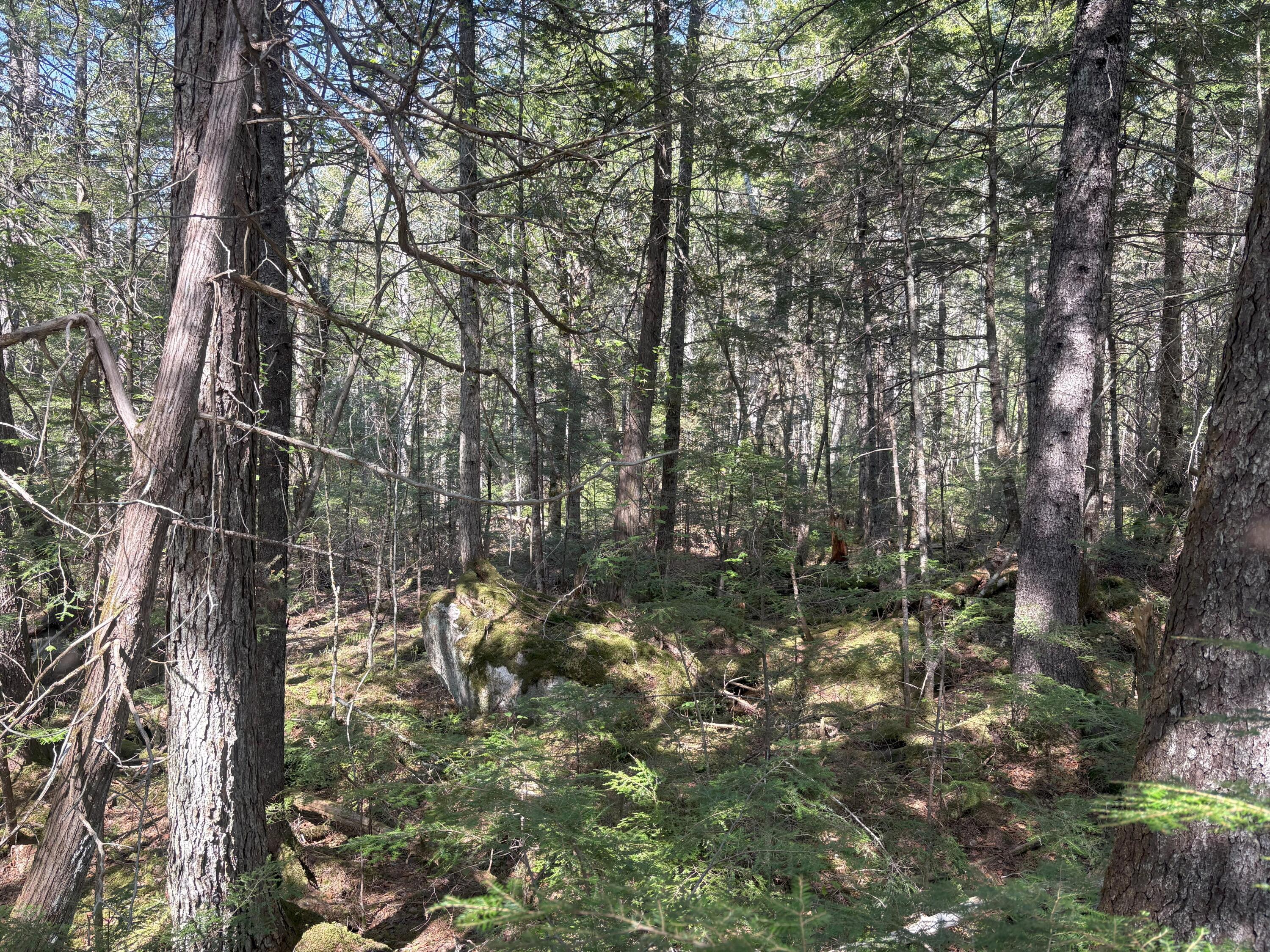 M7-l5 M7-l5 Lombard Road Lakeville, ME 04487 - Photo 10 of 26 IMG_4778