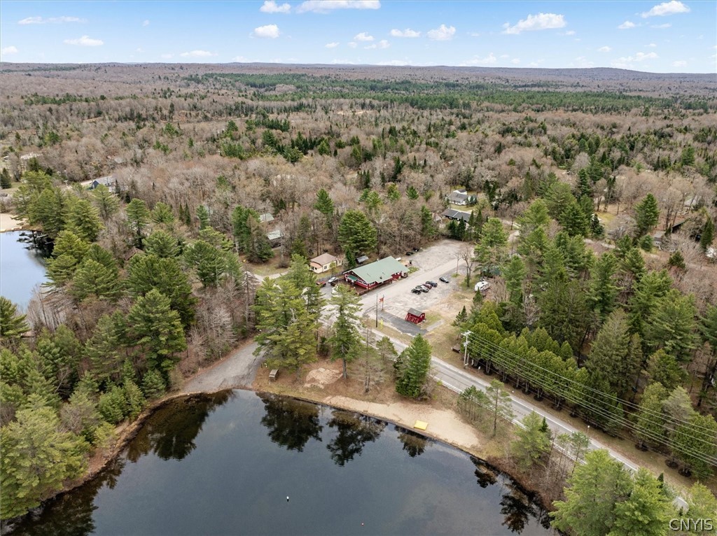 113 Spruce Road Forestport, NY 13494 - Photo 11 of 47