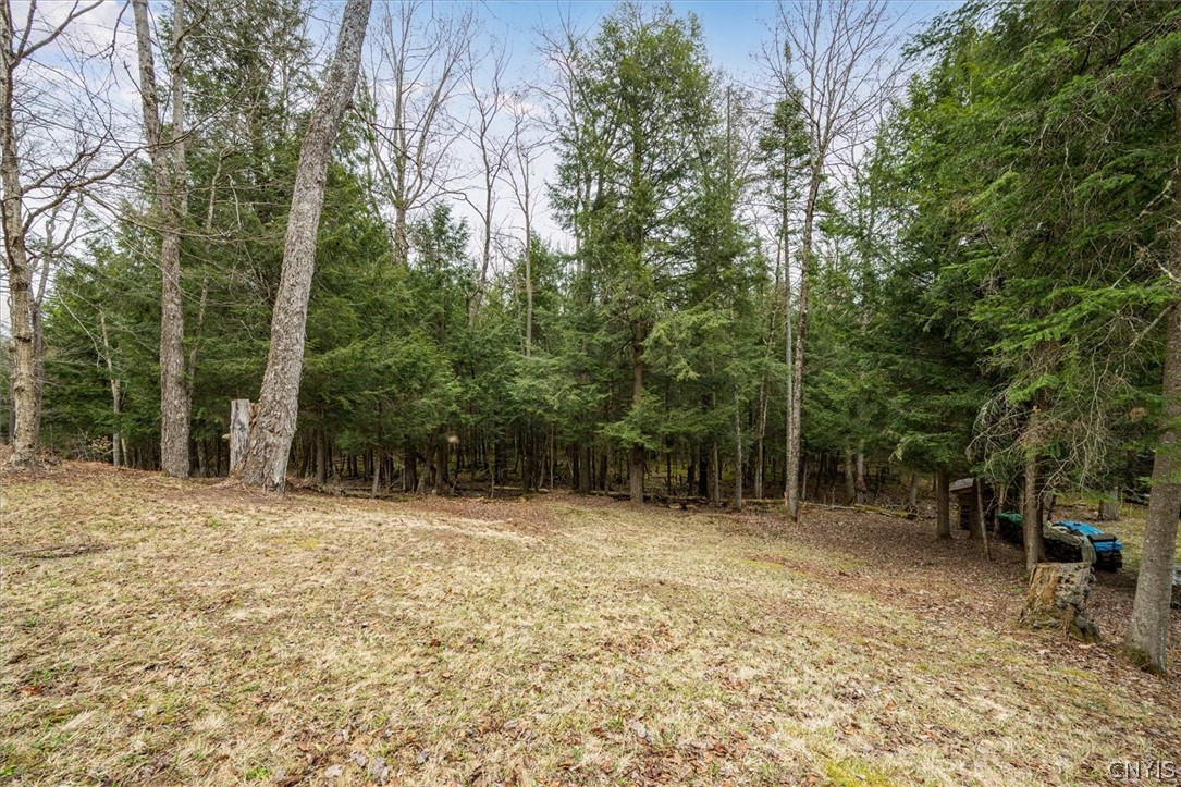 113 Spruce Road Forestport, NY 13494 - Photo 38 of 47