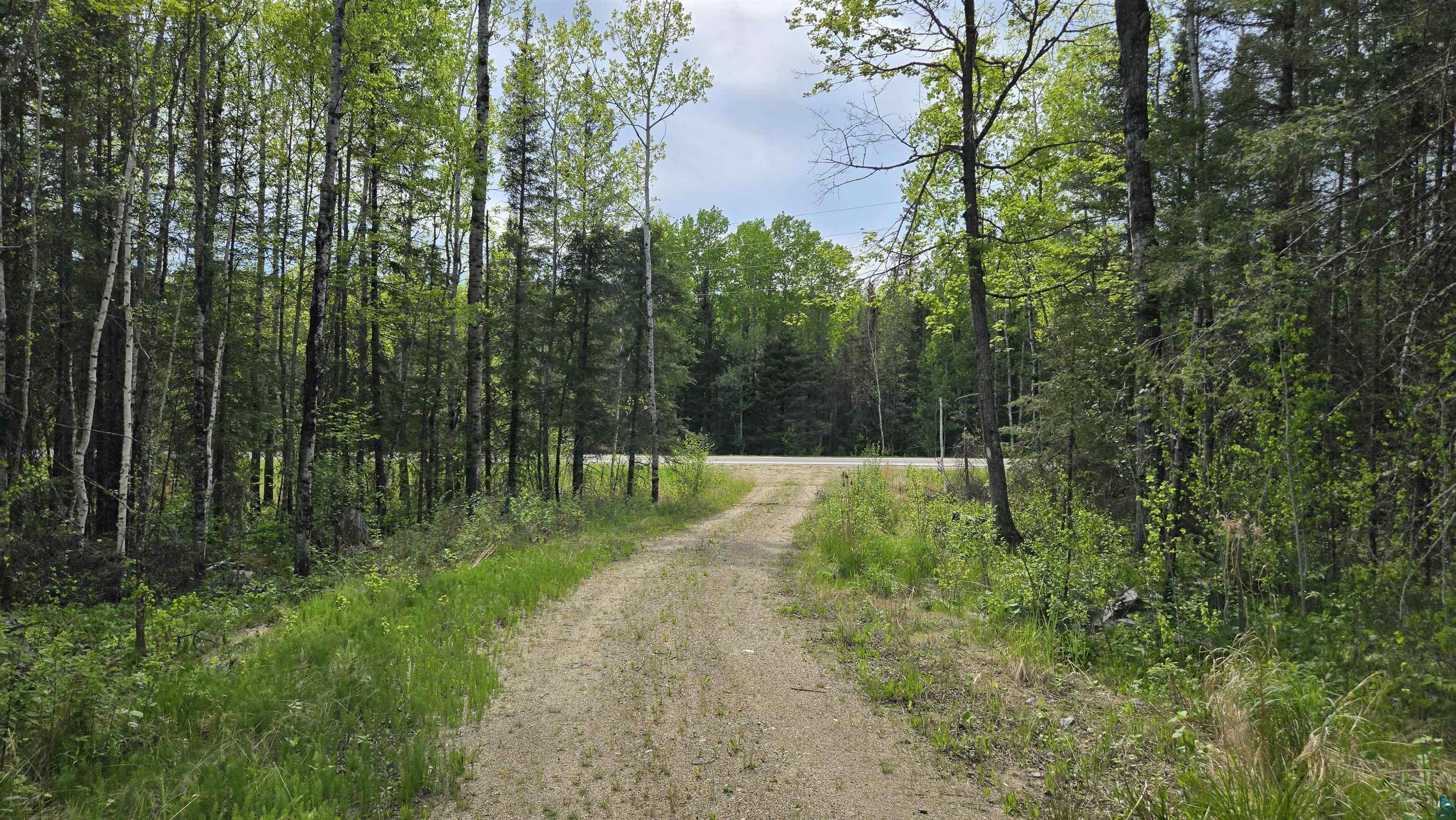7316 Crane Lake Road Crane Lake, MN 55725 - Photo 2 of 21