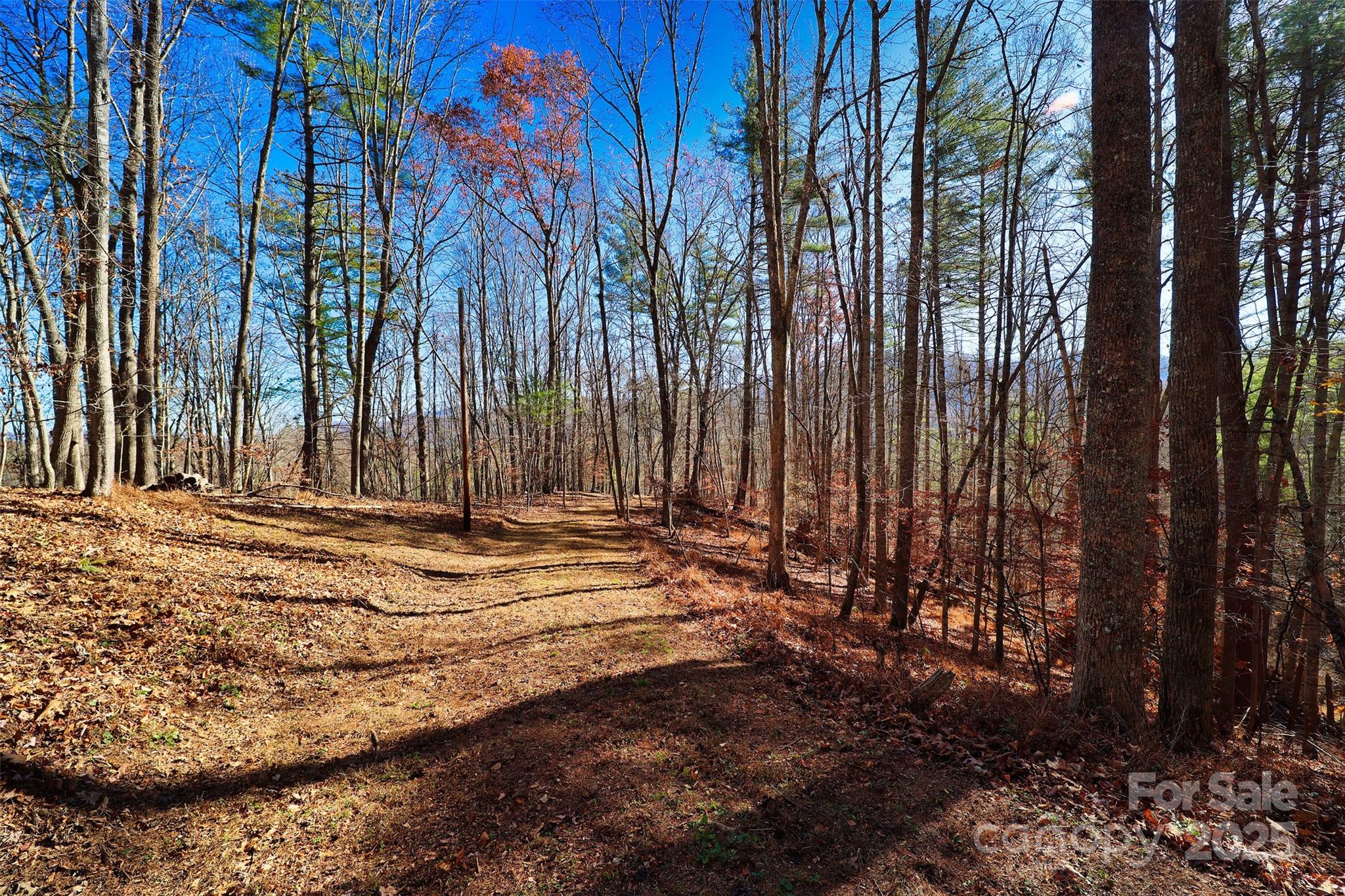 Tbd Rockinghorse Trail, Unit TRACT #2 Burnsville, NC 28714 - Photo 5 of 8 a view of outdoor space with trees
