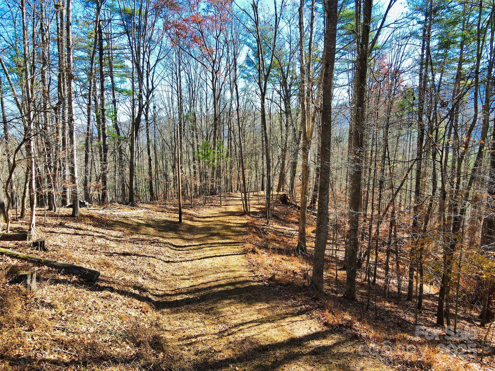 Tbd Rockinghorse Trail, Unit TRACT #2 Burnsville, NC 28714 - Photo 6 of 8 a view of swimming pool with large trees