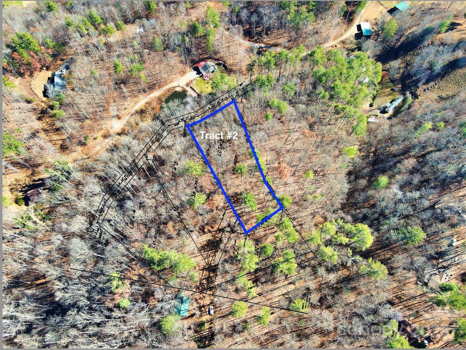 Tbd Rockinghorse Trail, Unit TRACT #2 Burnsville, NC 28714 - Photo 7 of 8 a view of a tree with a plant