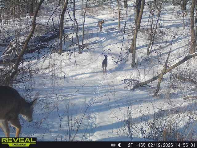 Tbd 48th Street Northeast Rochester, MN 55906 - Photo 18 of 27