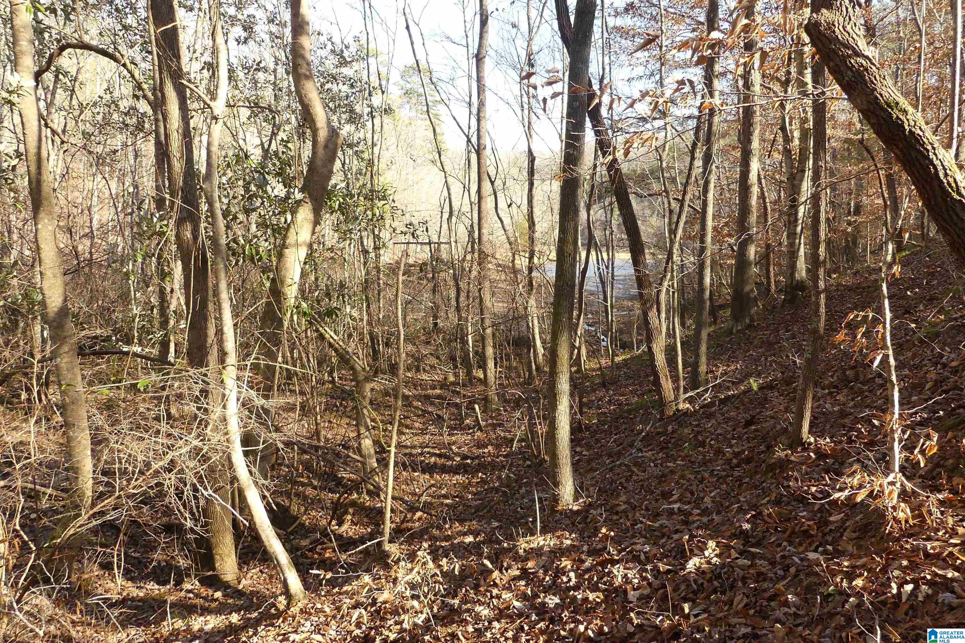 Lot # Harbour Point Drive, Unit 9 Delta, AL 36258 - Photo 4 of 8
