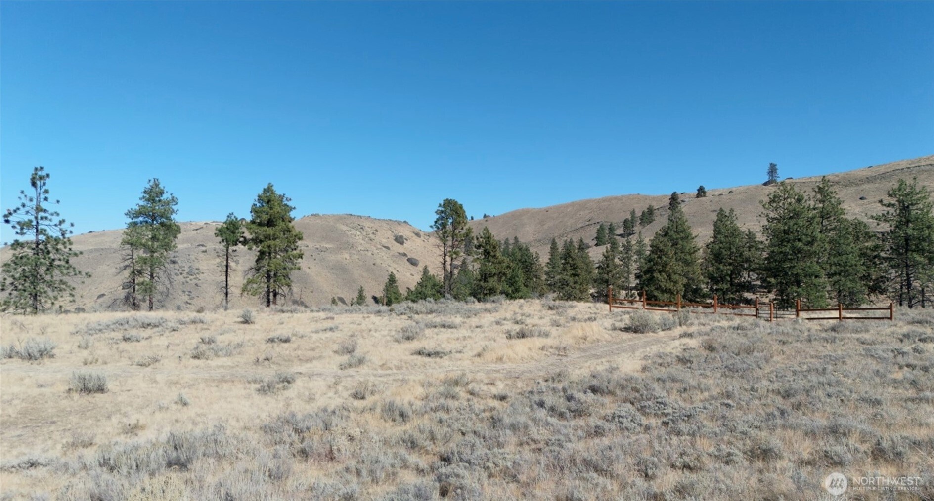 54 Wolf Holler Road Waterville, WA 98858 - Photo 12 of 14
