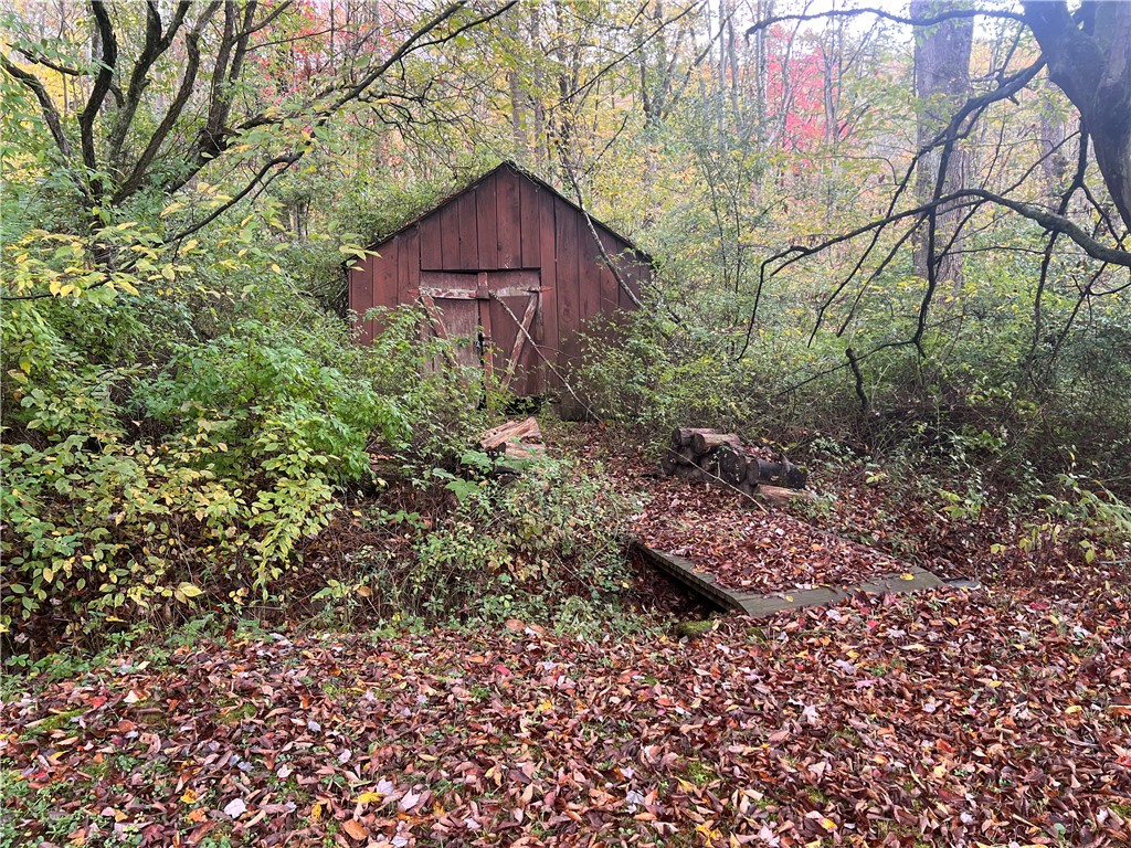 0 Kent Road Hinsdale, NY 14743 - Photo 21 of 38