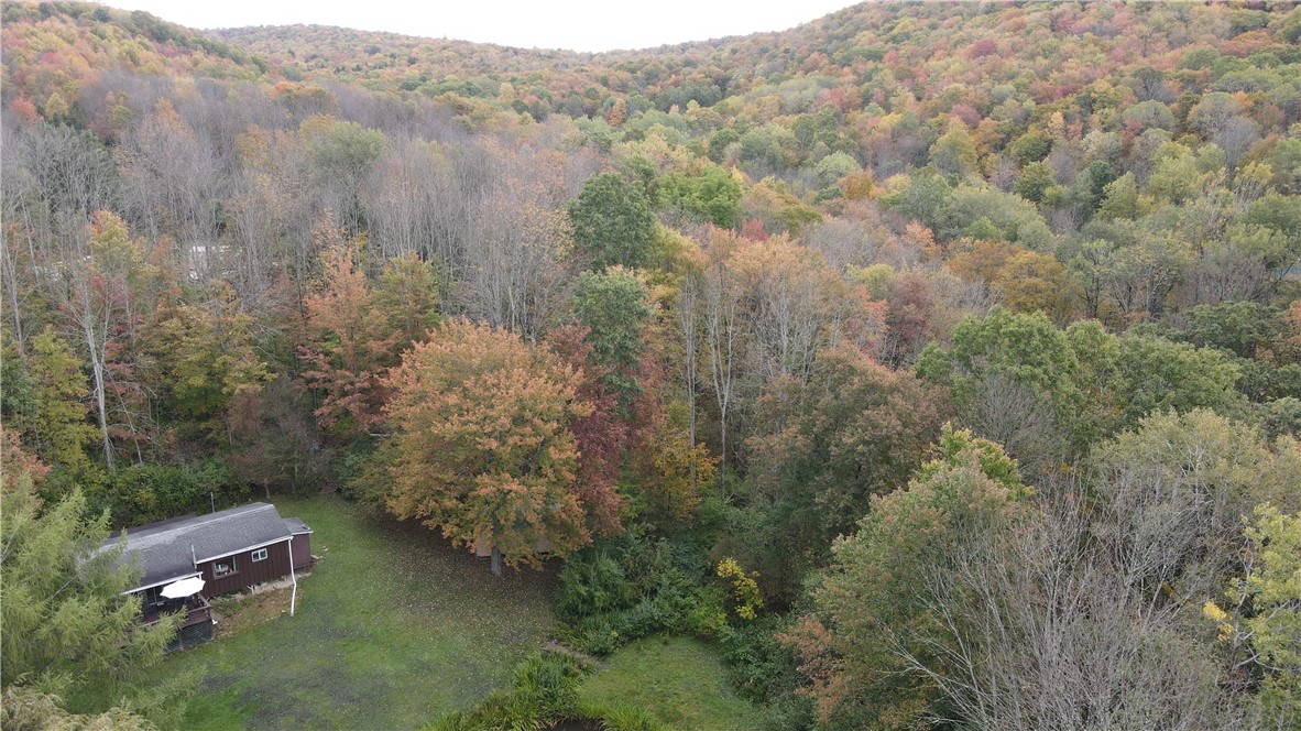 0 Kent Road Hinsdale, NY 14743 - Photo 23 of 38