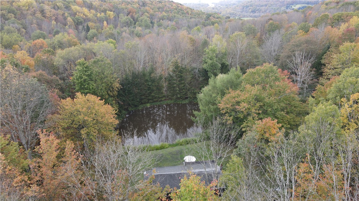 0 Kent Road Hinsdale, NY 14743 - Photo 24 of 38