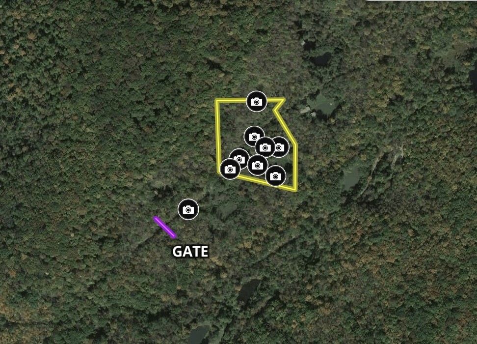 0 Kent Road Hinsdale, NY 14743 - Photo 34 of 38