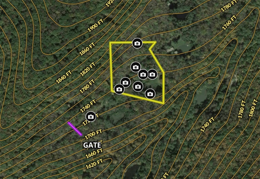 0 Kent Road Hinsdale, NY 14743 - Photo 36 of 38