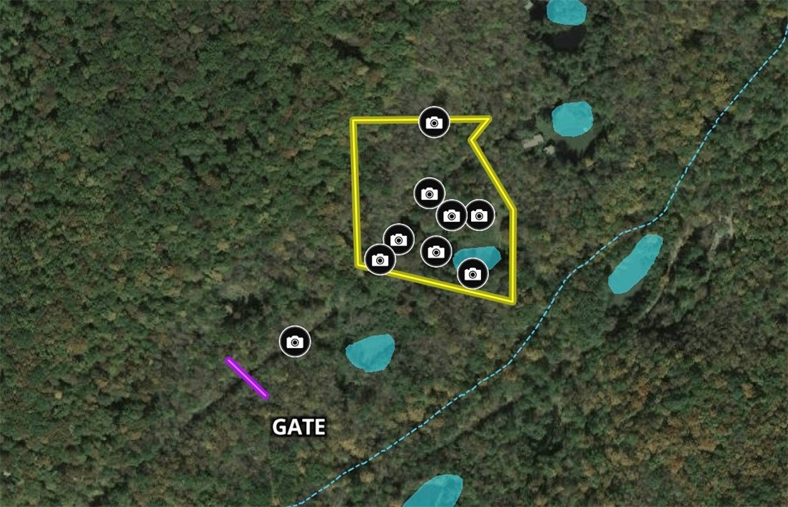 0 Kent Road Hinsdale, NY 14743 - Photo 37 of 38