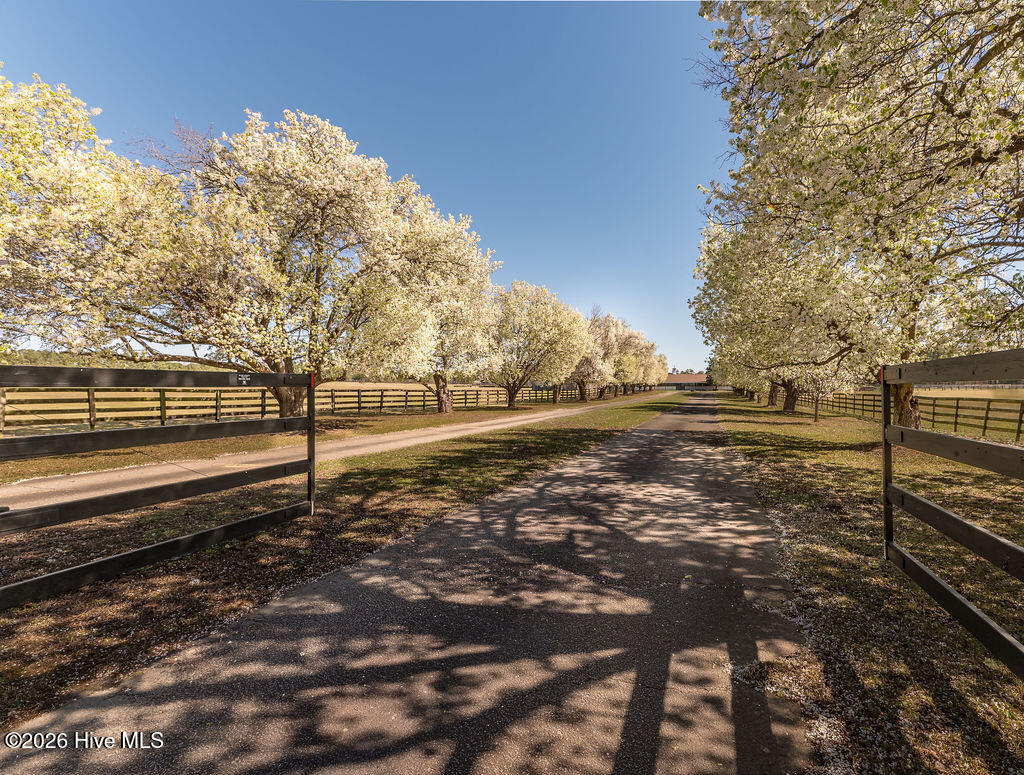 450 Addor Road Aberdeen, NC 28315 - Photo 21 of 47 HassingerFarmExt--9