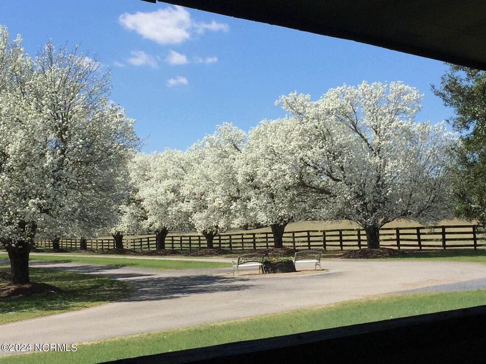 450 Addor Road Aberdeen, NC 28315 - Photo 24 of 47 cherryblossoms