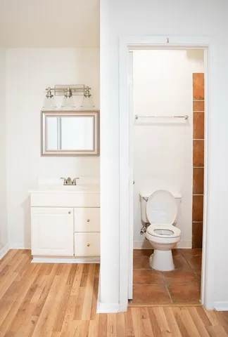 a bathroom with a sink a toilet and a mirror