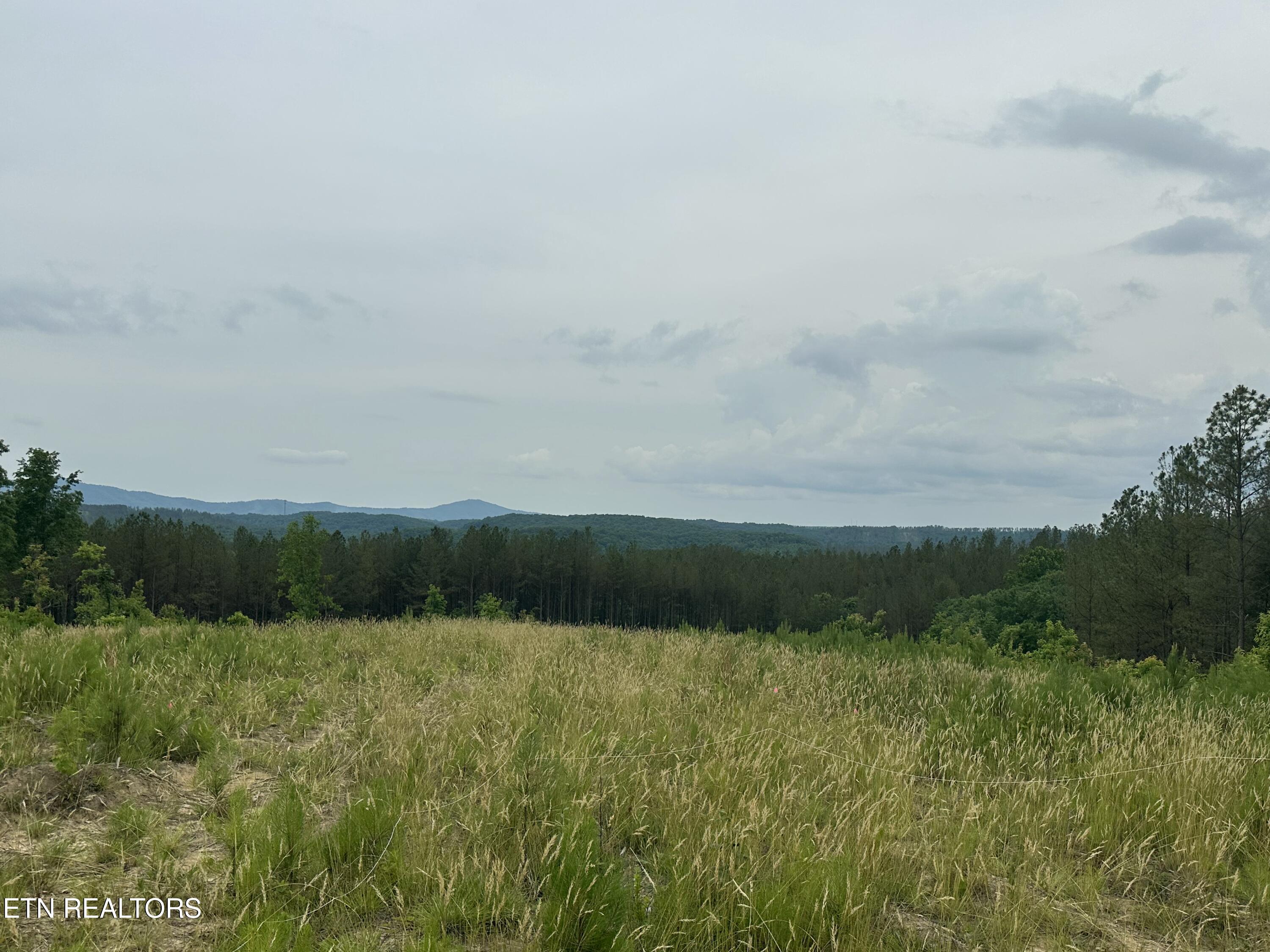 Owl Ridge Way Sunbright, TN 37872 - Photo 5 of 5 IMG_20260706_145242