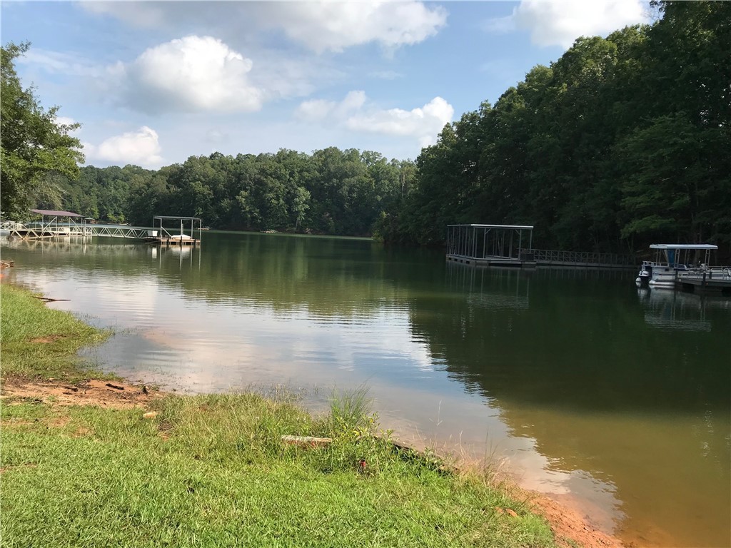 Lot 6 South Alexander Road Seneca, SC 29678 - Photo 3 of 28 Gallery Image 3