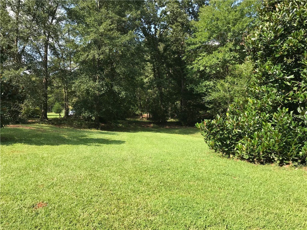 Lot 6 South Alexander Road Seneca, SC 29678 - Photo 5 of 28 Gallery Image 5