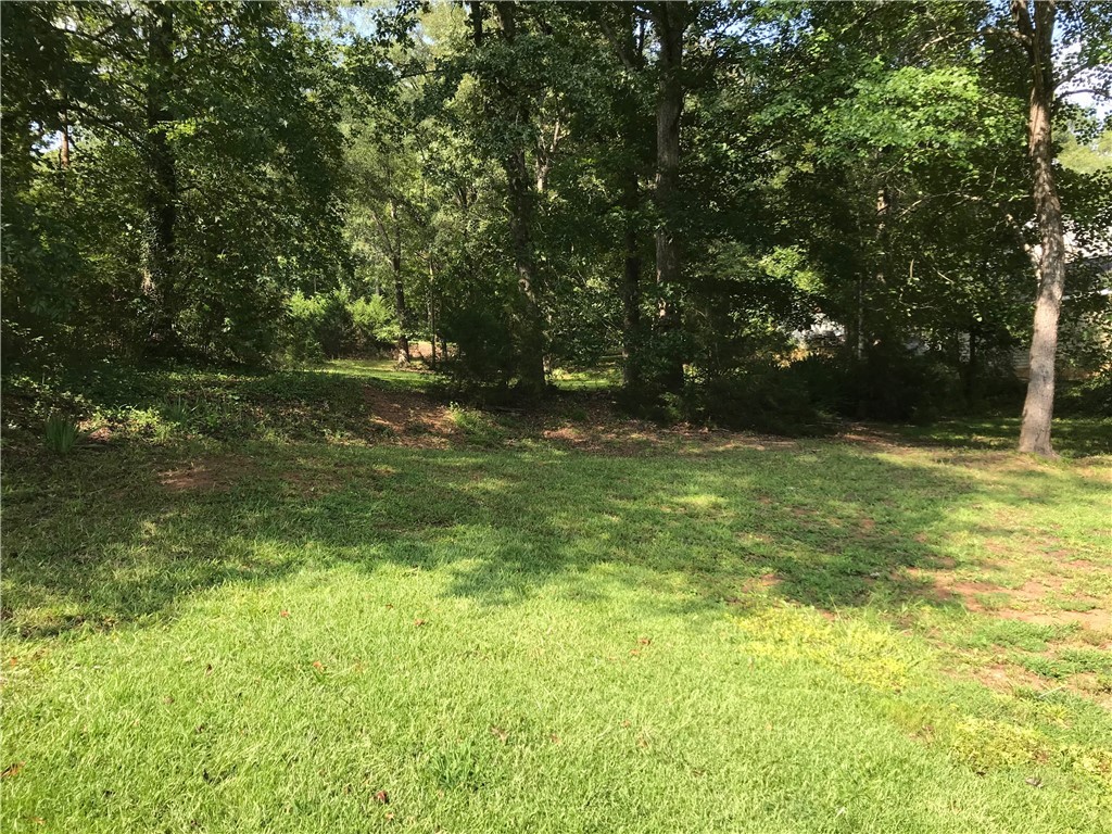 Lot 6 South Alexander Road Seneca, SC 29678 - Photo 7 of 28 Gallery Image 7