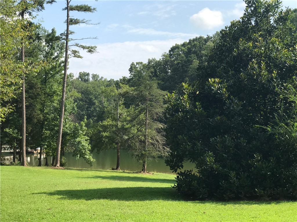 Lot 6 South Alexander Road Seneca, SC 29678 - Photo 8 of 28 Gallery Image 8