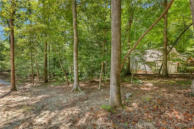 a view of a forest filled with trees