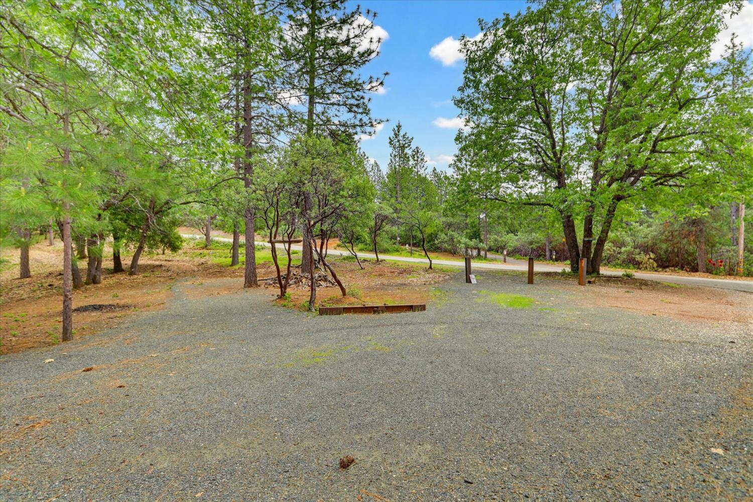 26825 Rock Rose Colfax, CA 95713 - Photo 24 of 51