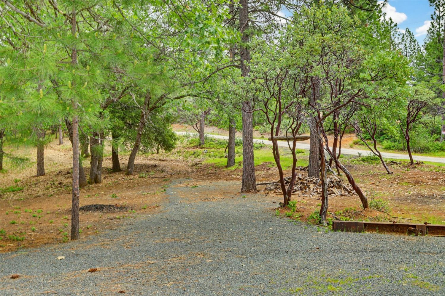 26825 Rock Rose Colfax, CA 95713 - Photo 25 of 51