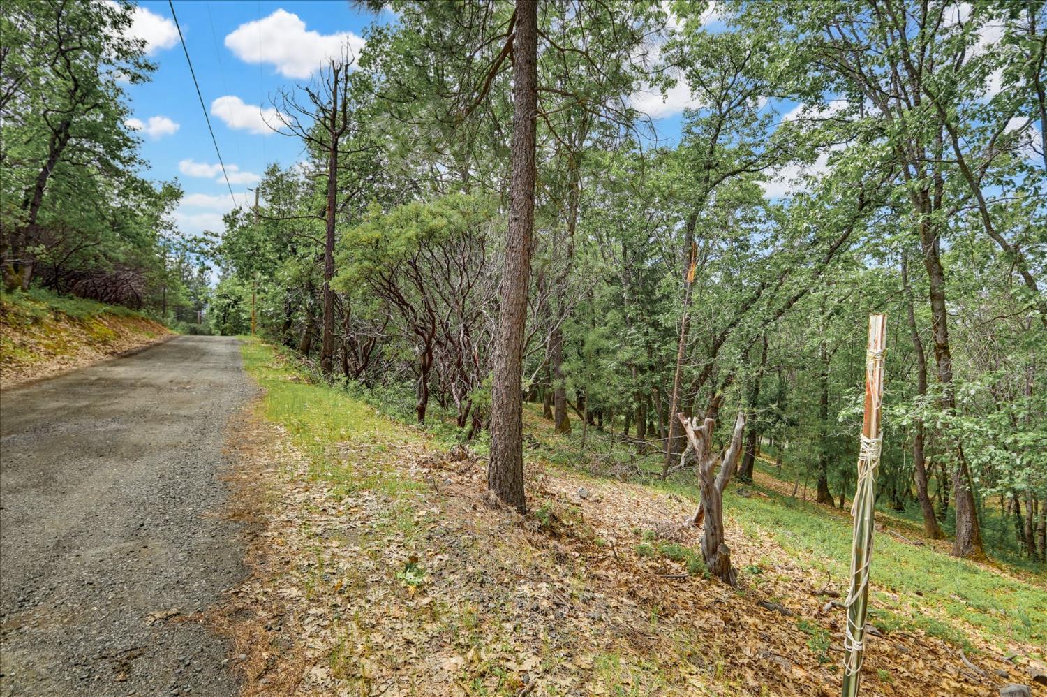 26825 Rock Rose Colfax, CA 95713 - Photo 28 of 51