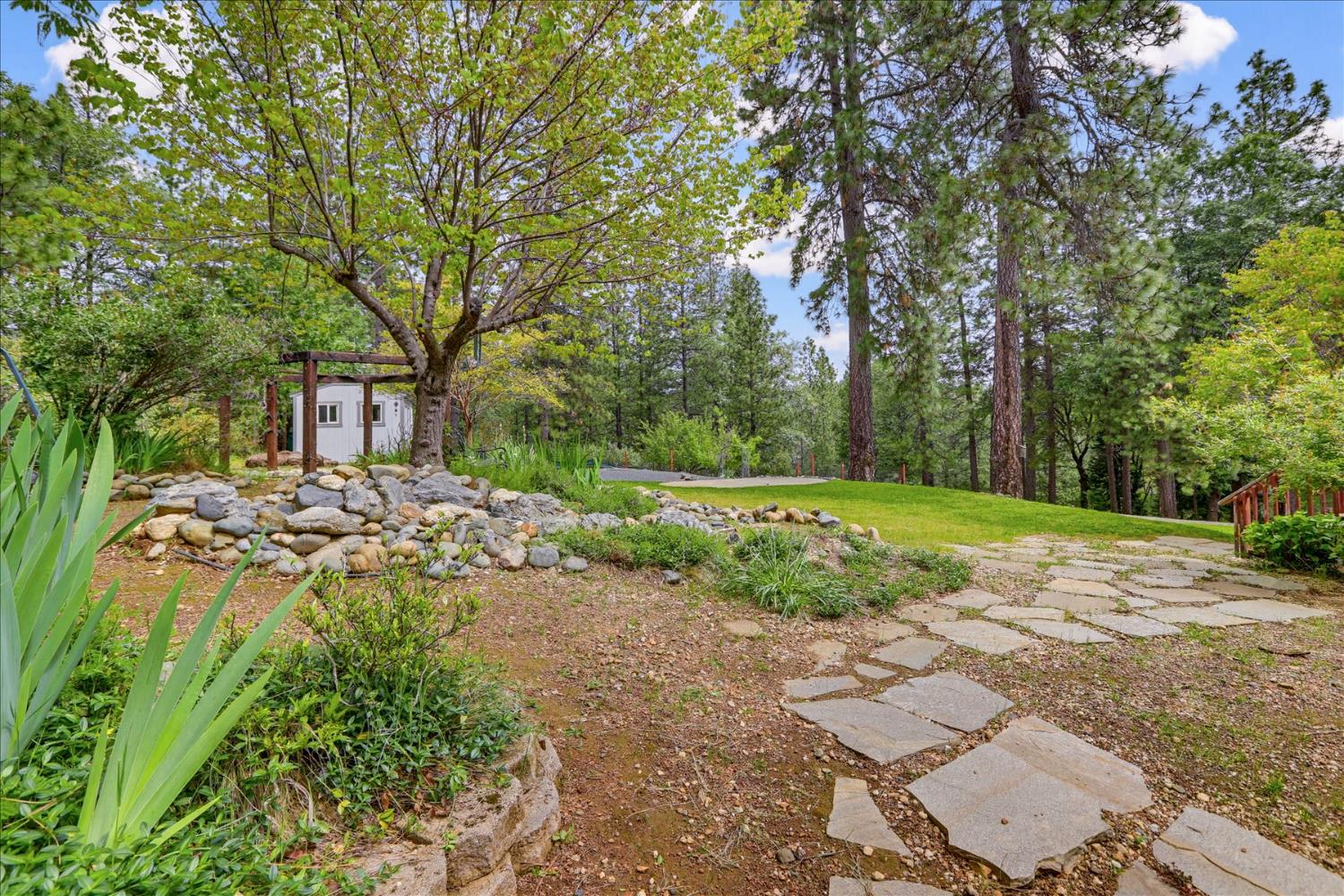 26825 Rock Rose Colfax, CA 95713 - Photo 34 of 51