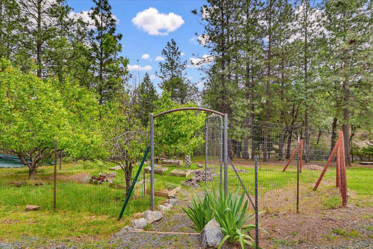 26825 Rock Rose Colfax, CA 95713 - Photo 44 of 51