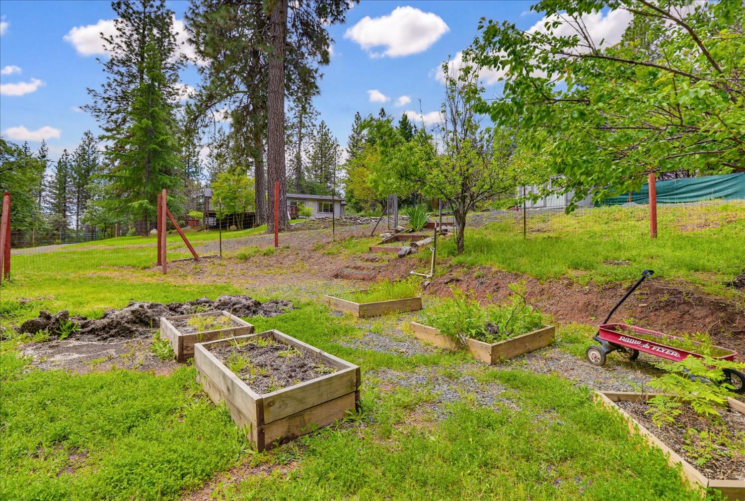 26825 Rock Rose Colfax, CA 95713 - Photo 45 of 51