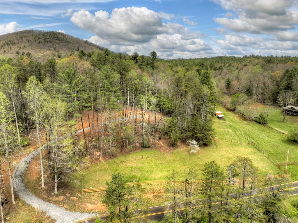 9.13-ac Hells Hollow Road Blue Ridge, GA 30513 - Photo 6 of 59 Gallery Image 6