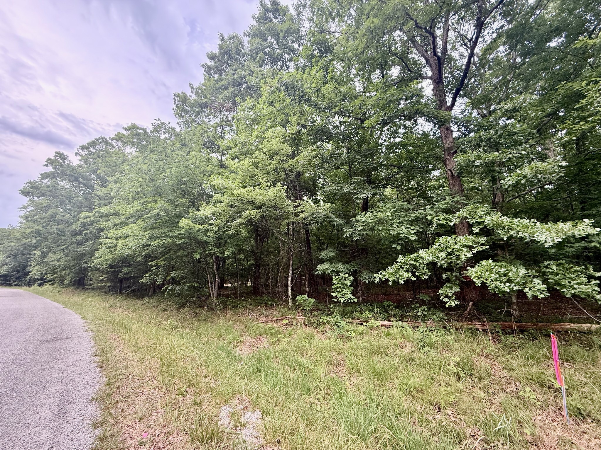0 Deepwoods Road Sewanee, TN 37375 - Photo 7 of 8