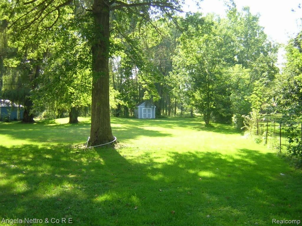19700 Karr Road Belleville, MI 48111 - Photo 18 of 23 BACK YARD ACREAGE