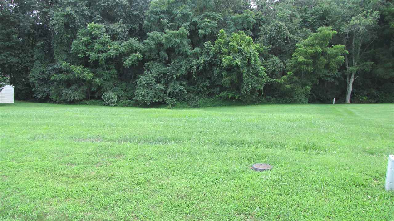 Tbd Long Bow Road Waynesboro, VA 22980 - Photo 1 of 2 a view of an outdoor space and a yard